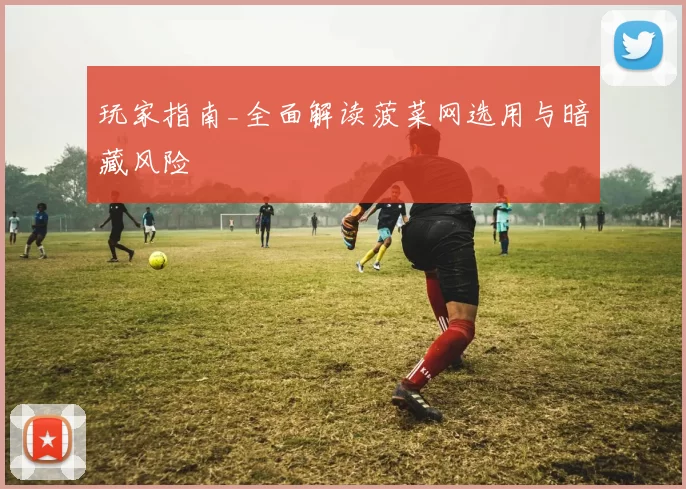 玩家指南_全面解读菠菜网选用与暗藏风险