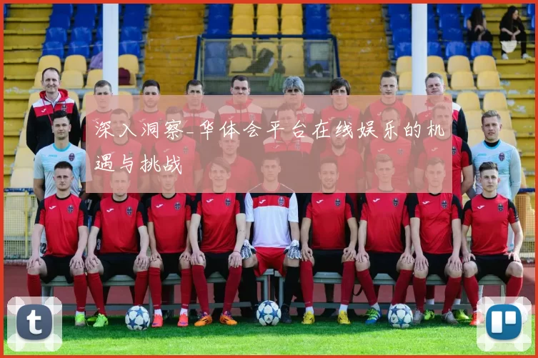 深入洞察_华体会平台在线娱乐的机遇与挑战