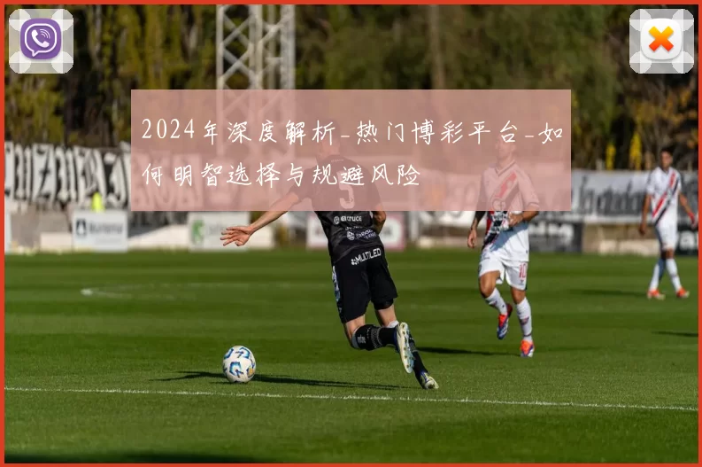 2024年深度解析_热门博彩平台_如何明智选择与规避风险