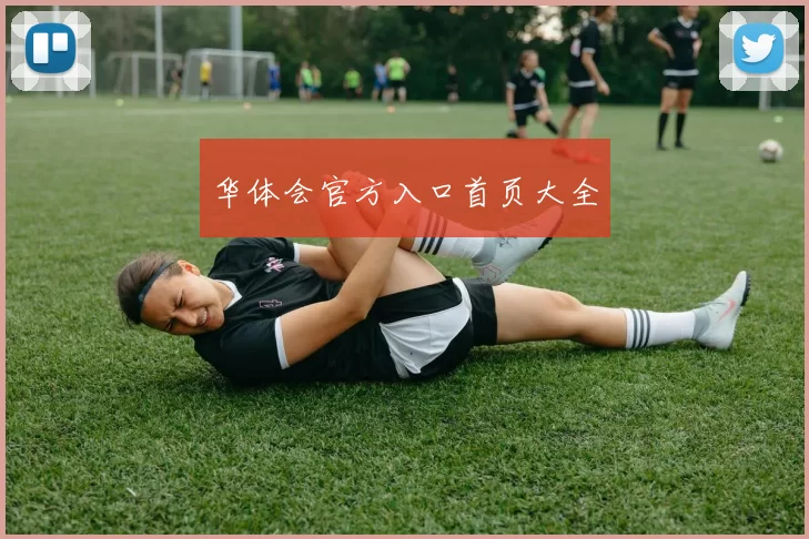 华体会官方入口首页大全