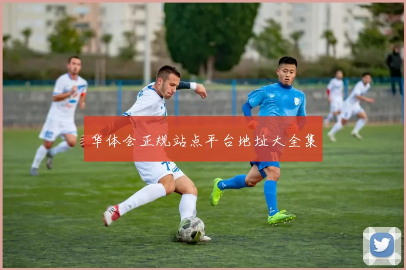 华体会正规站点平台地址大全集