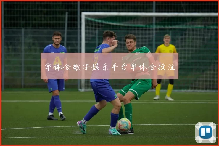 华体会数字娱乐平台华体会投注