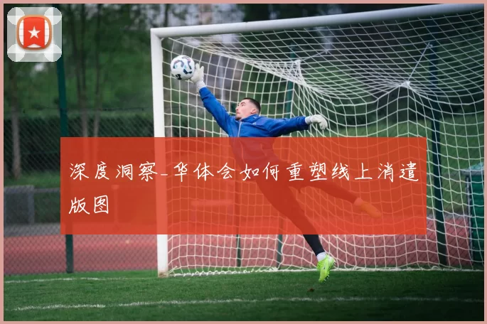 深度洞察_华体会如何重塑线上消遣版图