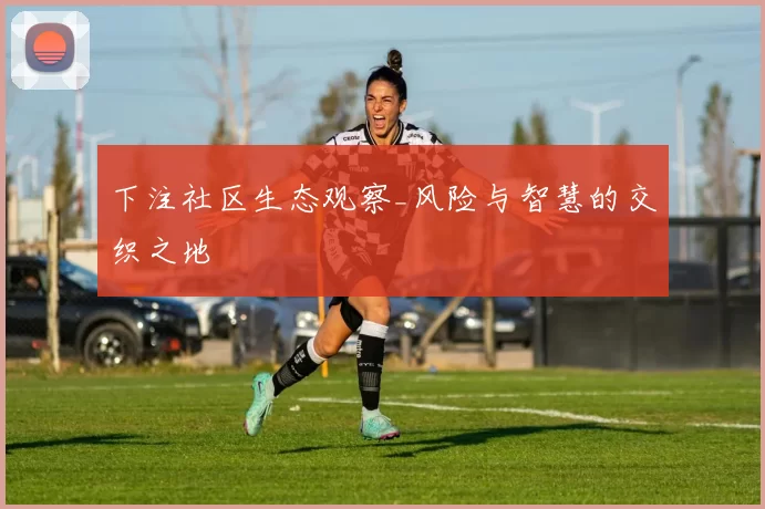 下注社区生态观察_风险与智慧的交织之地