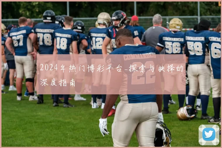 2024年热门博彩平台_探索与抉择的深度指南