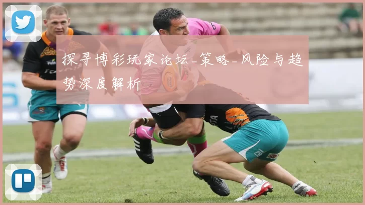 探寻博彩玩家论坛_策略_风险与趋势深度解析