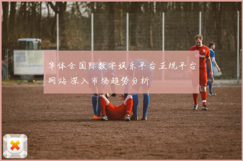 华体会国际数字娱乐平台正规平台网站 深入市场趋势分析