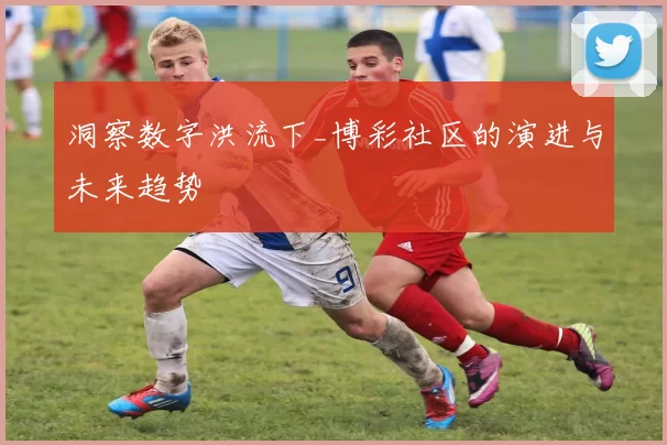 洞察数字洪流下_博彩社区的演进与未来趋势