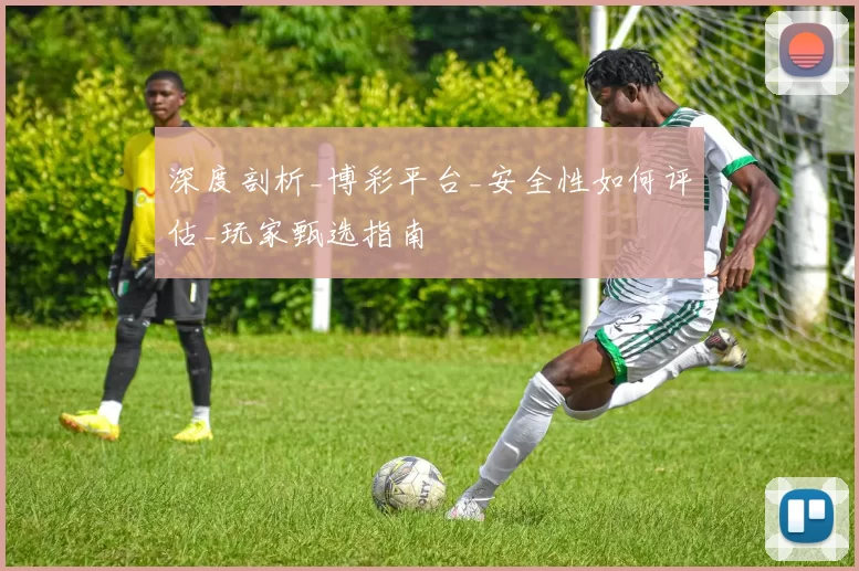 深度剖析_博彩平台_安全性如何评估_玩家甄选指南