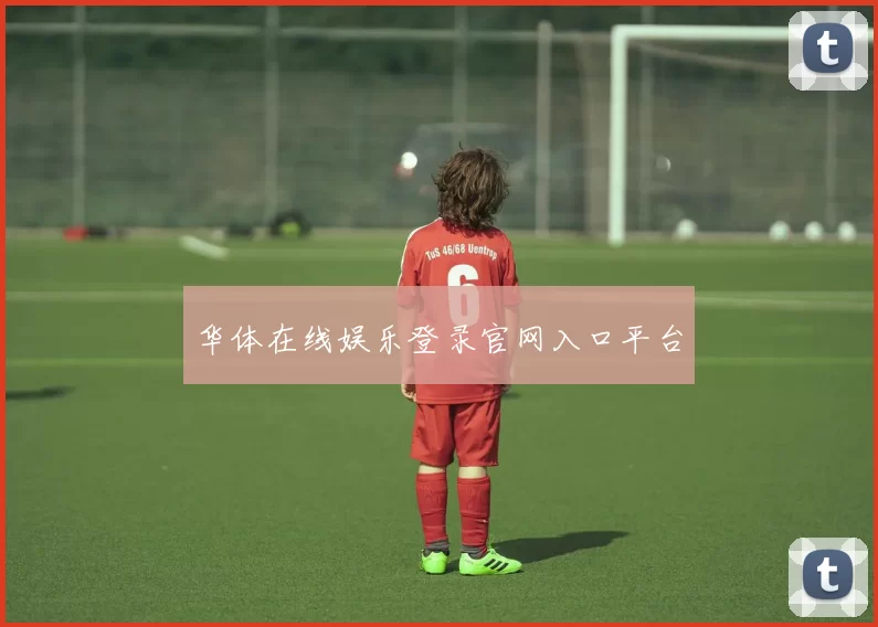 华体在线娱乐登录官网入口平台