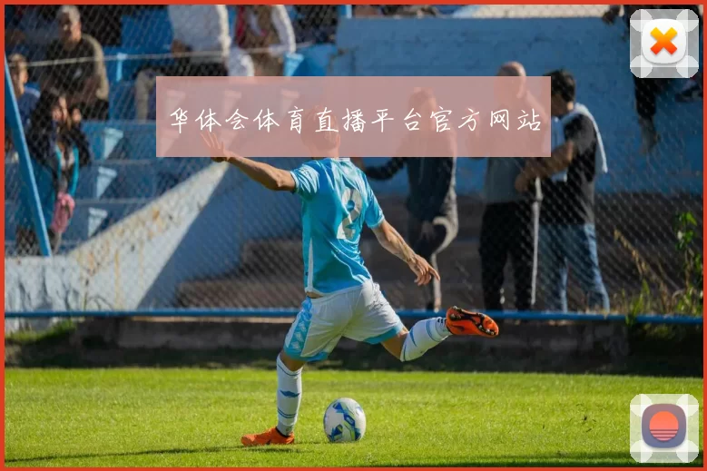 华体会体育直播平台官方网站