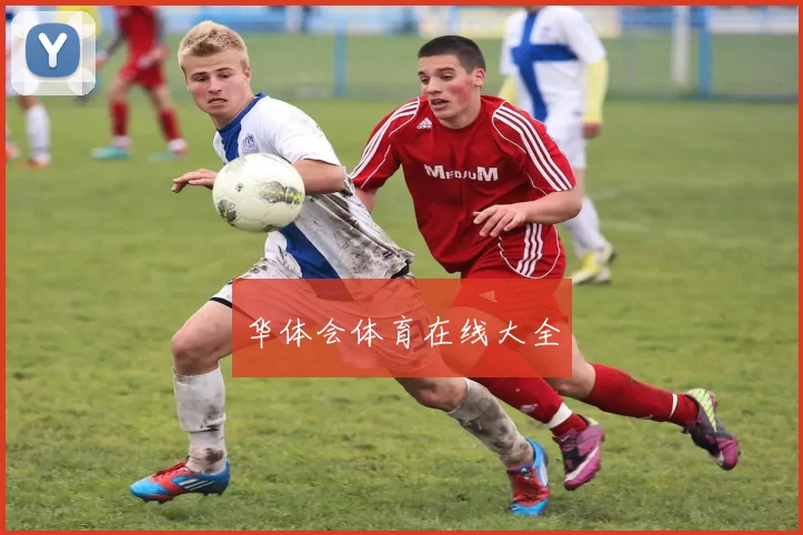华体会体育在线大全