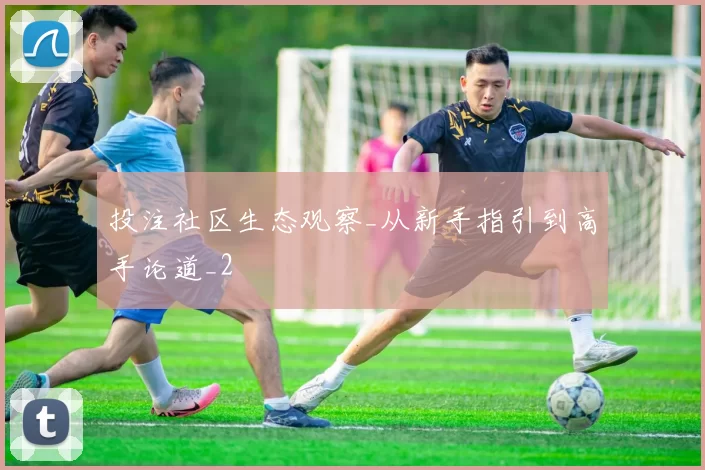 投注社区生态观察_从新手指引到高手论道_2