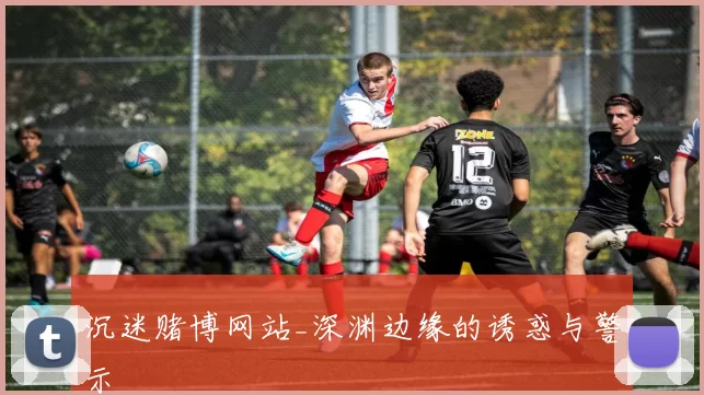 沉迷赌博网站_深渊边缘的诱惑与警示