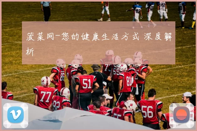 菠菜网-您的健康生活方式 深度解析