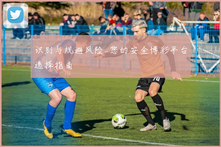 识别与规避风险_您的安全博彩平台选择指南