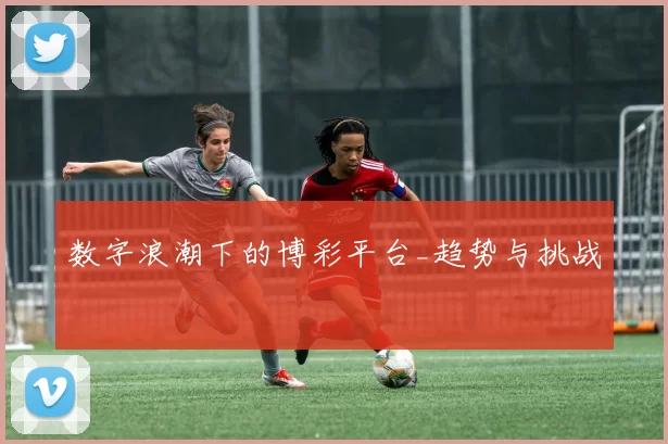 数字浪潮下的博彩平台_趋势与挑战