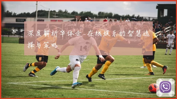 深度解析华体会_在线娱乐的智慧选择与策略