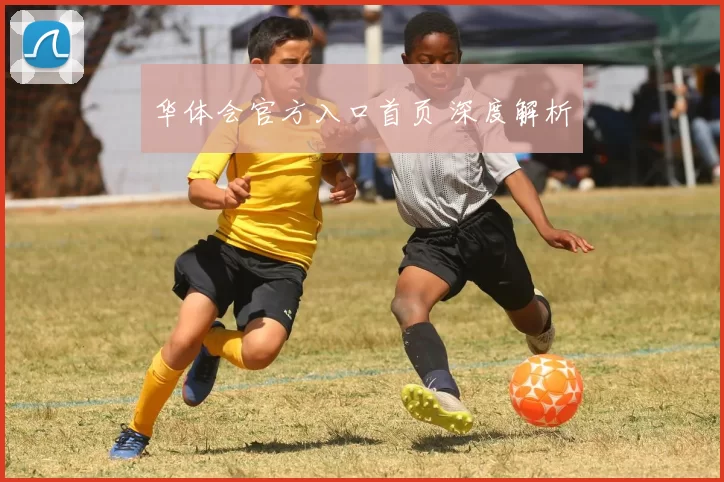 华体会官方入口首页 深度解析
