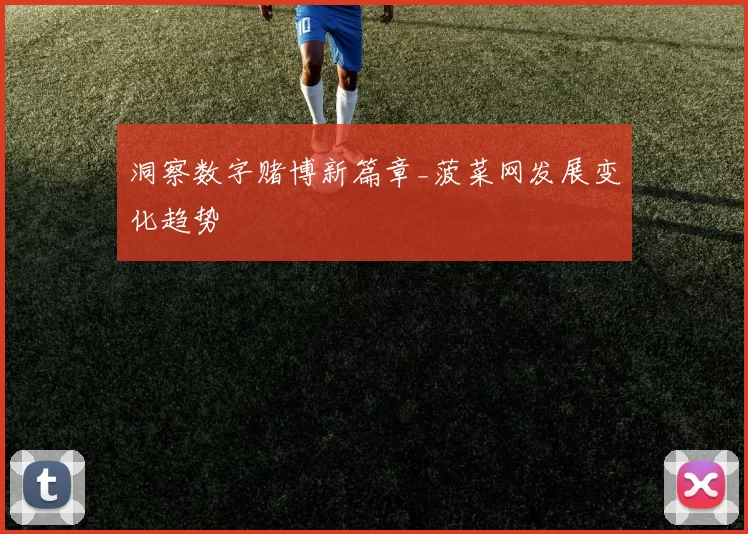 洞察数字赌博新篇章_菠菜网发展变化趋势