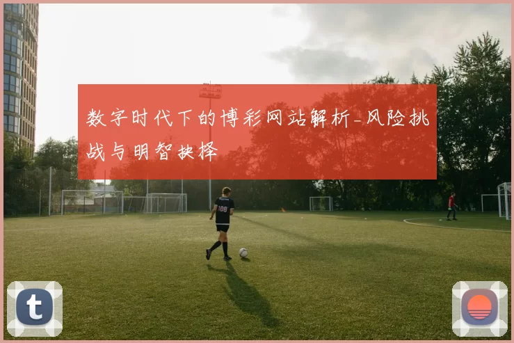 数字时代下的博彩网站解析_风险挑战与明智抉择