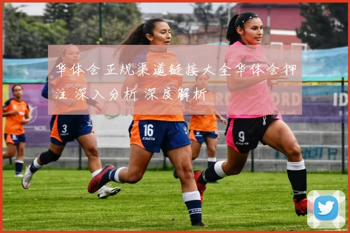 华体会正规渠道链接大全华体会押注 深入分析 深度解析