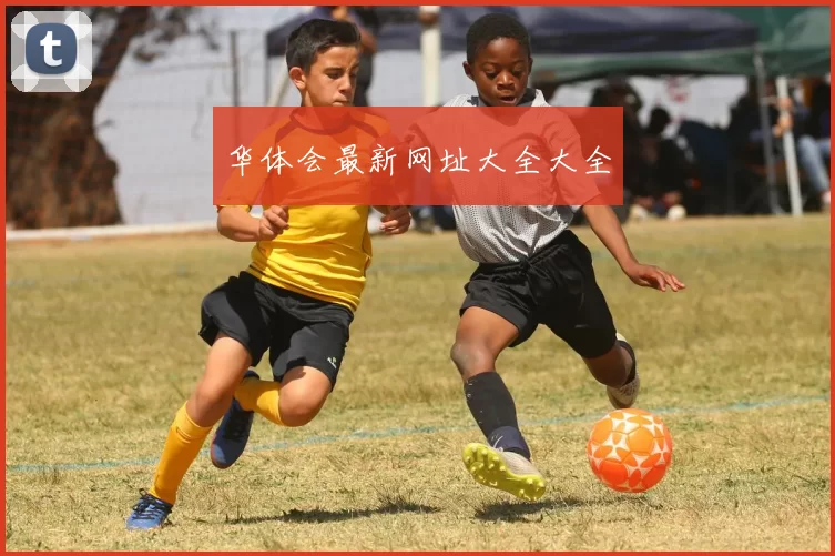 华体会最新网址大全大全