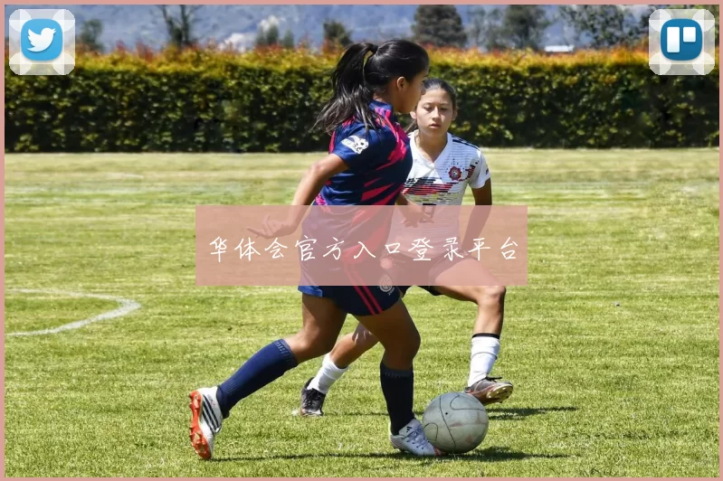 华体会官方入口登录平台