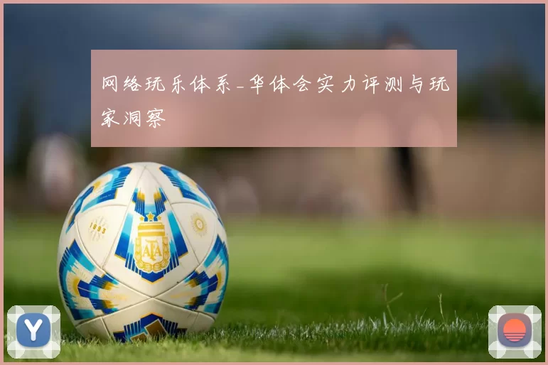 网络玩乐体系_华体会实力评测与玩家洞察