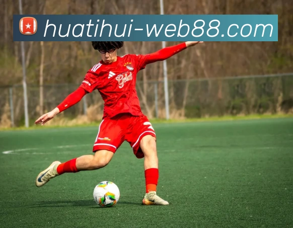 华体会体育平台生态图